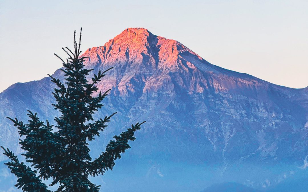 Controlling the descent: the art of preparing for life after success