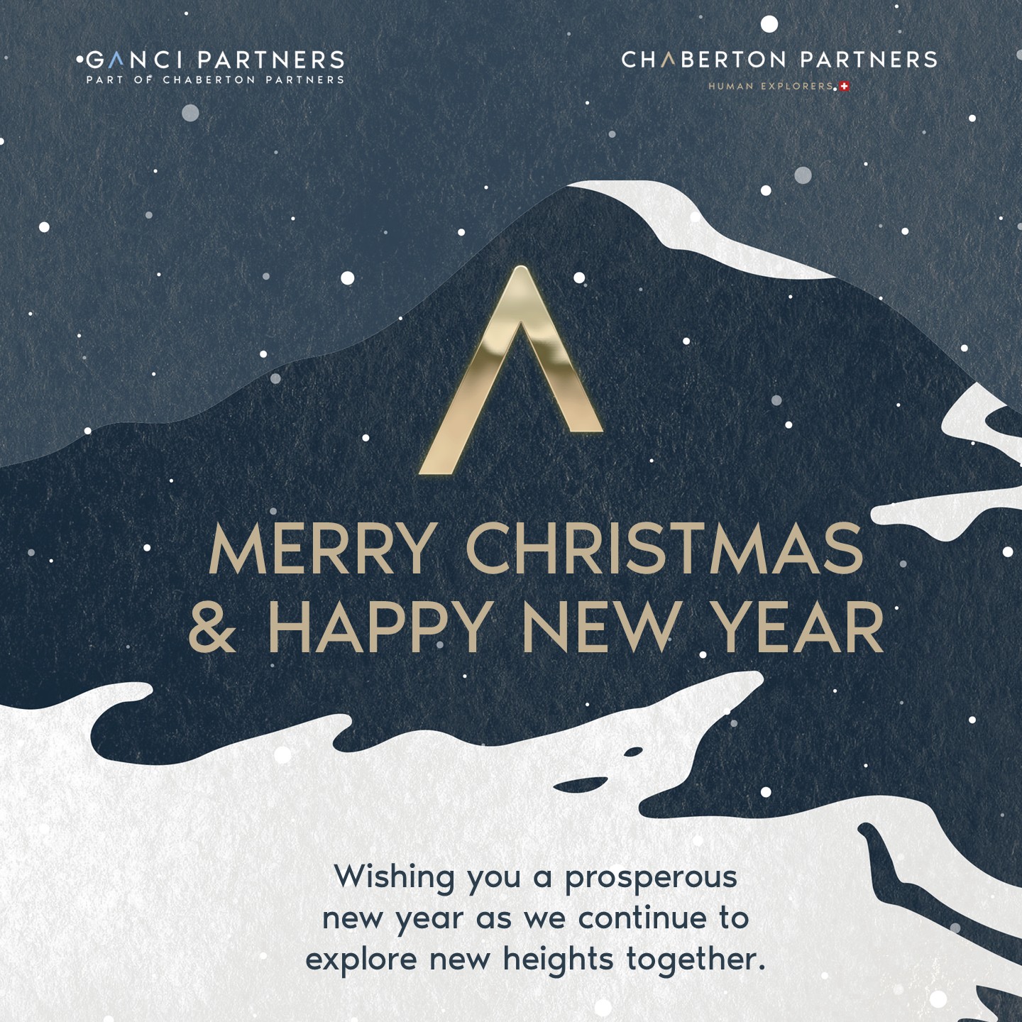 Joyeuses fêtes et bonne année 2026!