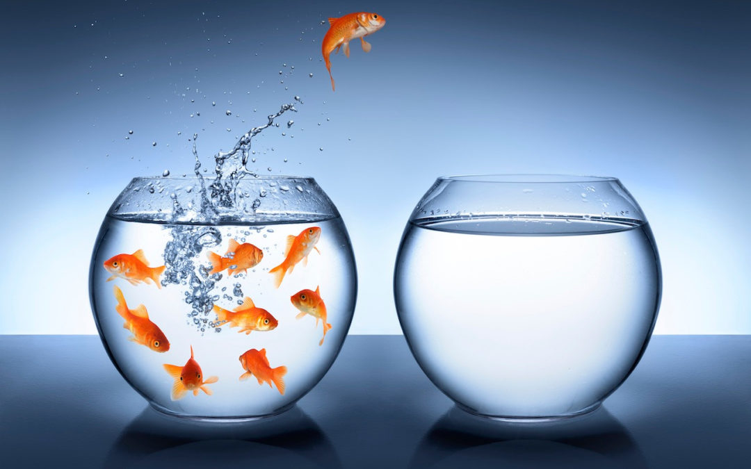 C’EST QUAND TOUT VA BIEN QU’IL FAUT OSER BOUGER (Parce qu’attendre la crise, c’est déjà perdre la main)